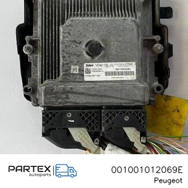 001001012069E - Блок керування двигуном Peugeot 308 2013