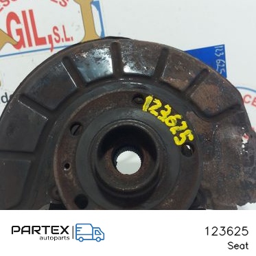 123625 - Поворотний кулак переднього колеса Seat Altea 2004