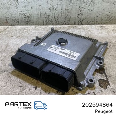 202594864 Блок керування двигуном Peugeot 208 2021