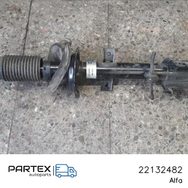 22132482 - Задній амортизатор Alfa Romeo 147 2005