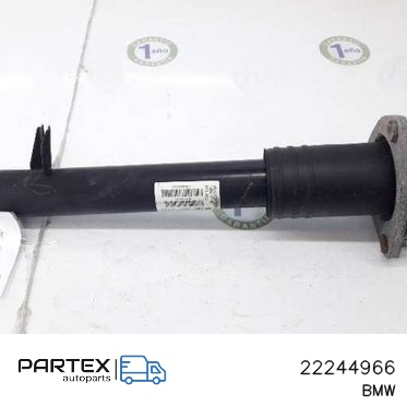 22244966 - Задній амортизатор BMW X5M E70 2010