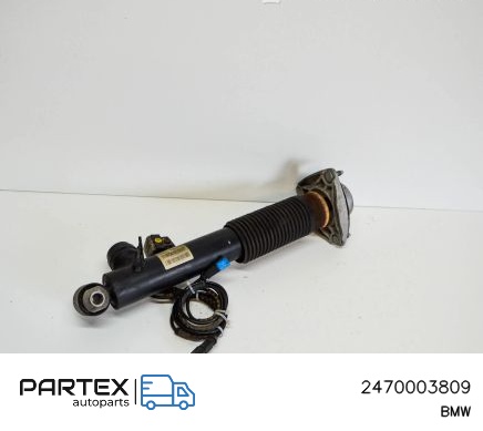 2470003809 Амортизатор задній BMW X5 F15 2018