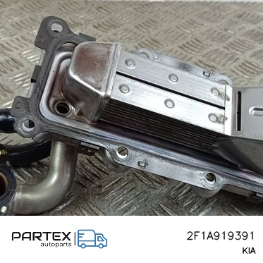 2F1A919391 Радіатор EGR KIA Sorento IV 2023