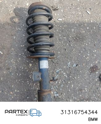 31316754344 - Передній амортизатор у зборі з пружиною BMW X5 E53 2003