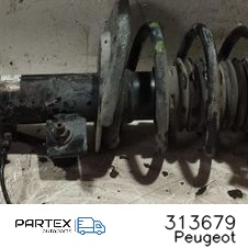 313679 - Передній амортизатор у зборі з пружиною Peugeot 207 2007