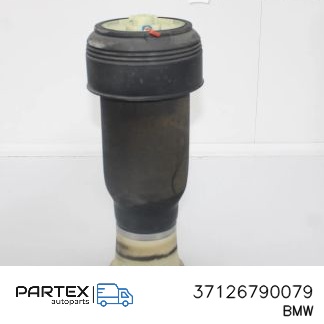 37126790079 - Задній амортизатор BMW X5 E70 2007