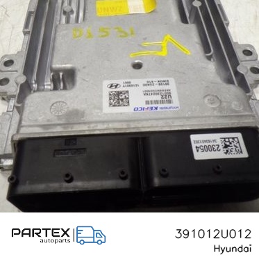 391012U012 Блок керування двигуном Hyundai Tucson TL 2022