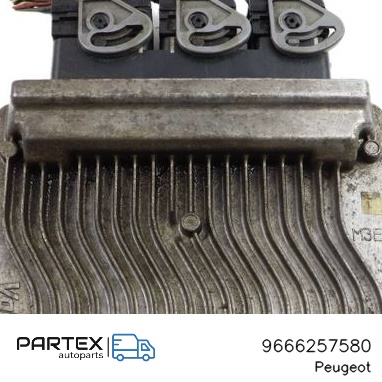 9666257580 - Блок керування двигуном Peugeot 206 2009