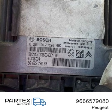 9666579080 - Блок керування двигуном ECU Peugeot 206 2010