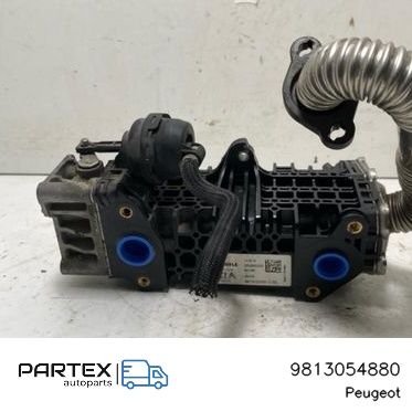 9813054880 Радіатор EGR Peugeot 3008 II 2019