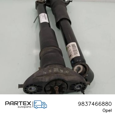 9837466880 - Задній амортизатор Opel Corsa F 2019