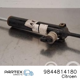 9844814180 Амортизатор задній Citroen DS4 2021