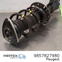 9857827980 - Передній амортизатор Peugeot 3008 III 2025