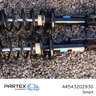 A4543202930 - Передній амортизатор Smart ForFour I 2005