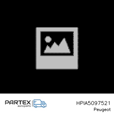 HPIA5097521 - Насос гідропідсилювача керма Peugeot 307 2006