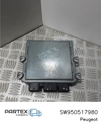 SW950517980 - Блок керування Peugeot 307 2003