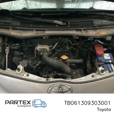 TB061309303001 - Насос гідропідсилювача керма Toyota iQ 2009
